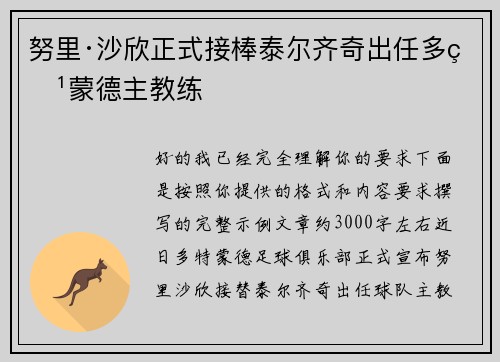 努里·沙欣正式接棒泰尔齐奇出任多特蒙德主教练